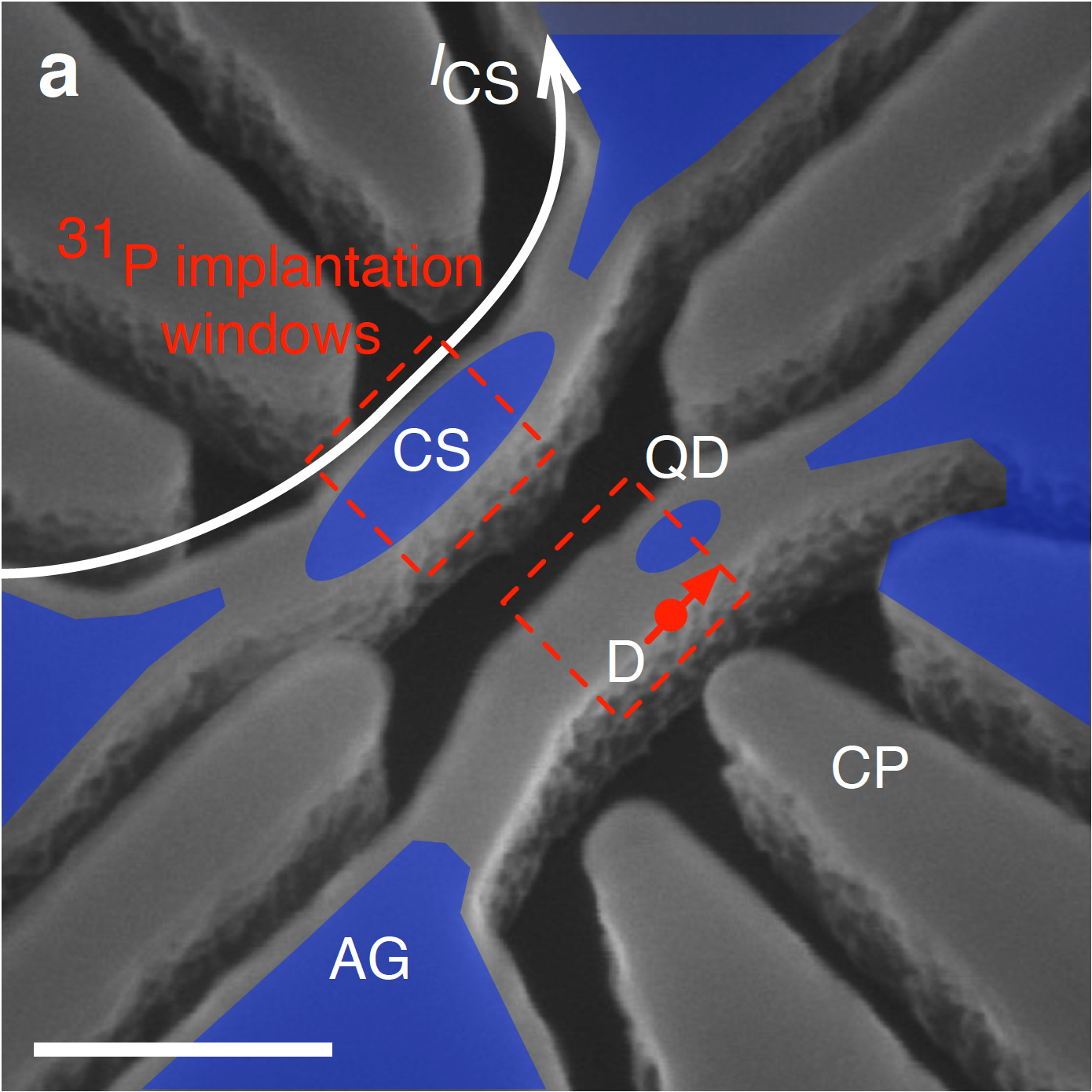 news-qubit-coupling.jpg