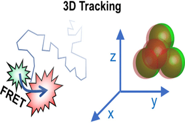 2D and 3D Single Molecule and Particle Tracking