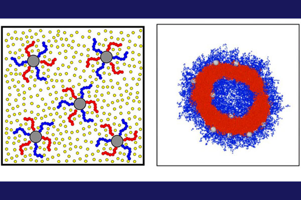 Theory and Simulation of Complex Fluids Including Polymers, Polymer Nanocomposites, and Inhomogeneous Charged Fluids