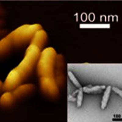 biomolecular machines