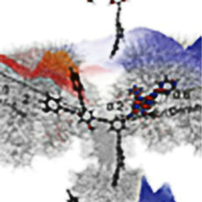 biomolecular machines