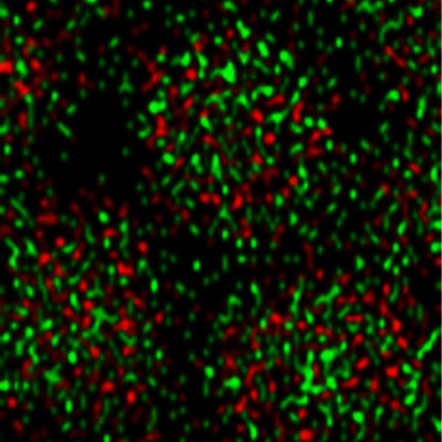 biomolecular machines