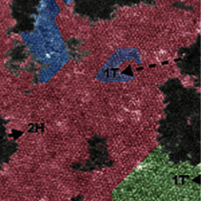 biomolecular machines